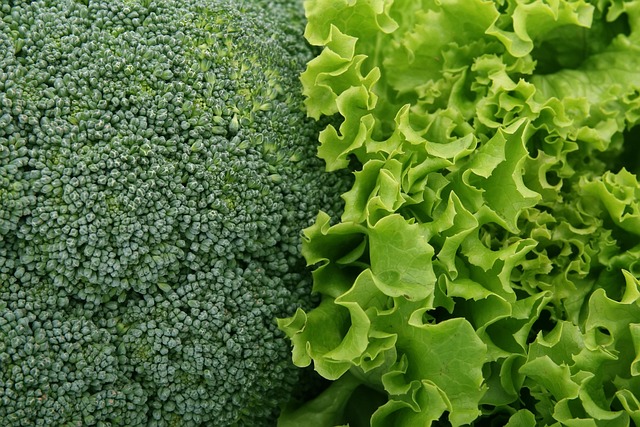broccoli plant growing in vegetable garden