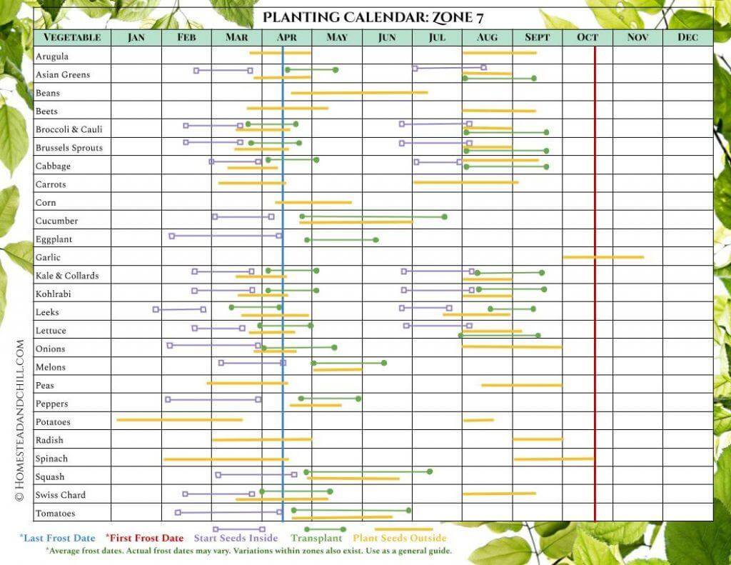 how to use last frost date for planting vegetables