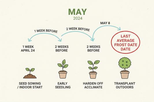 how to use last frost date for planting vegetables