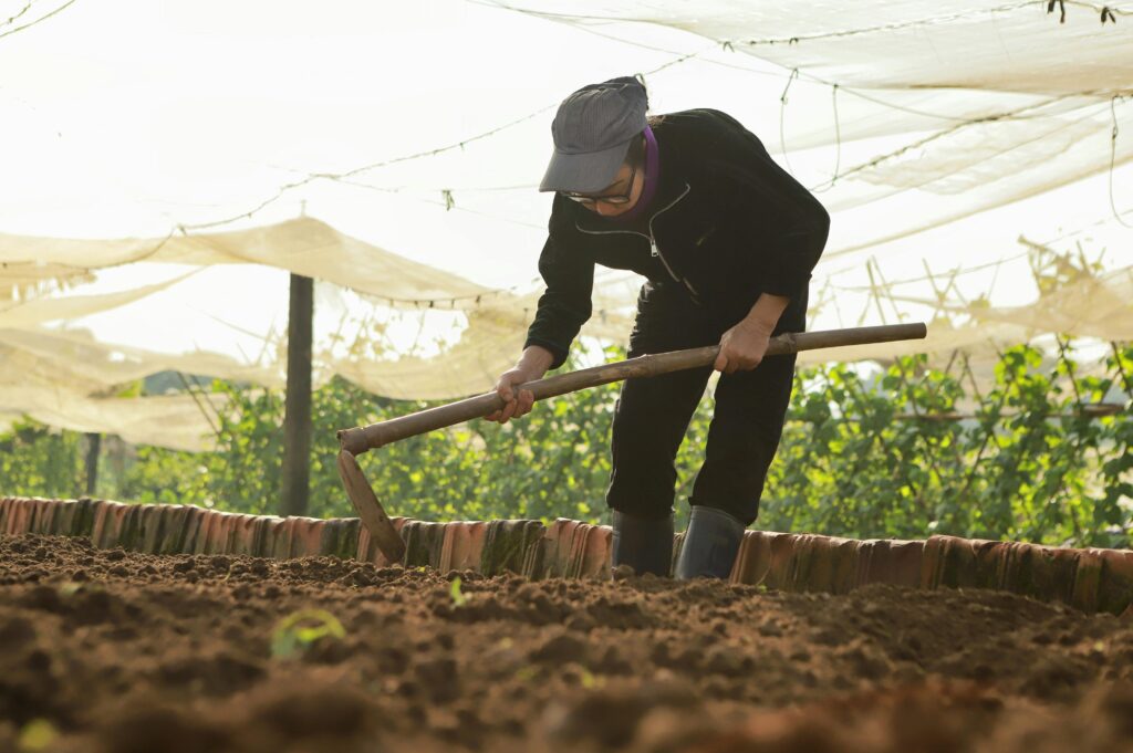 gardener preparing soil in spring vegetable garden