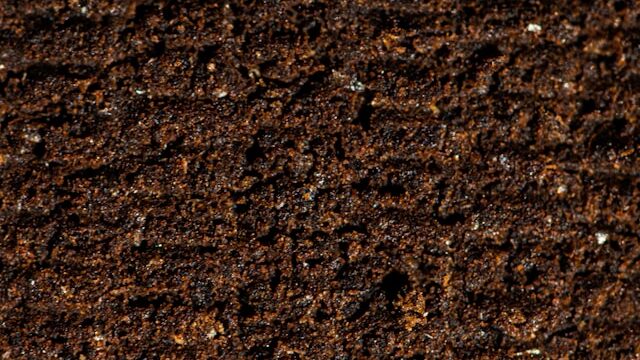 Heavy garden soil compared to light seed starting mix