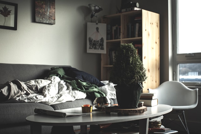  one in one out rule minimalist lifestyle