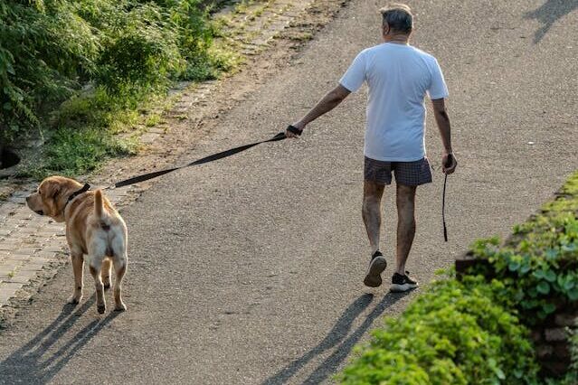 walking outdoors simple living nature calm