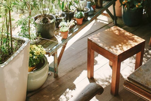 walking outdoors simple living nature calm