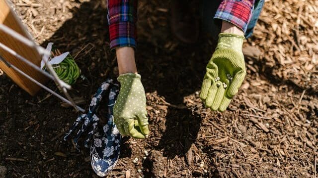 Seeds planted too deep failing to sprout