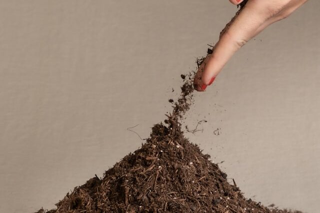 Lightweight seed starting soil mix for seedlings