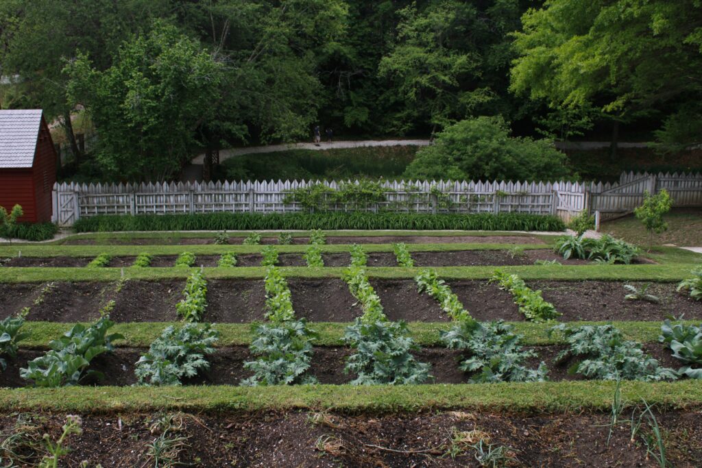 spring vegetable garden planting in April