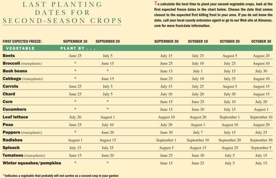 succession planting guide for continuous vegetable harvest
