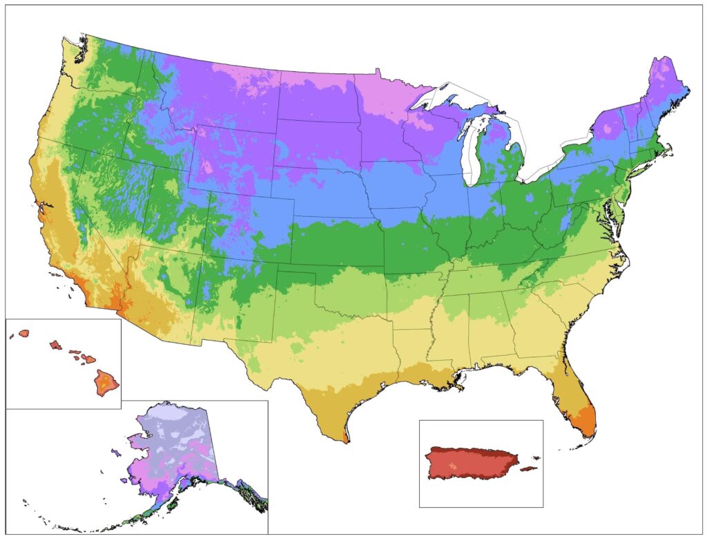 USDA planting zones simplified map for beginners