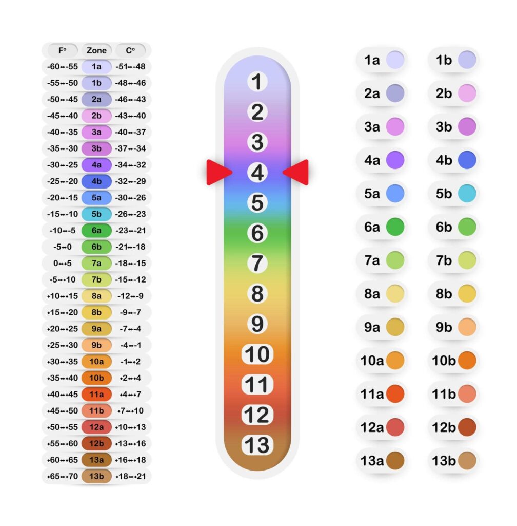 USDA planting zones simplified map for beginners
