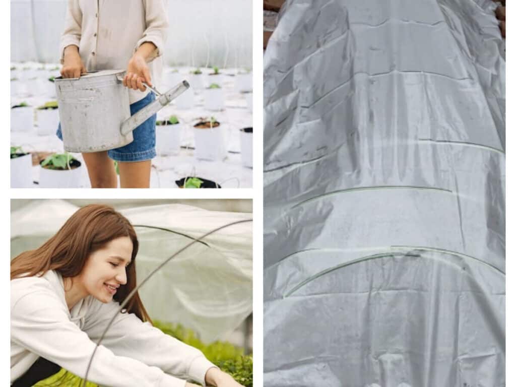 Cold indoor seed starter plastic cover