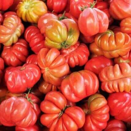 大果牛排番茄成熟果实 家庭种植番茄