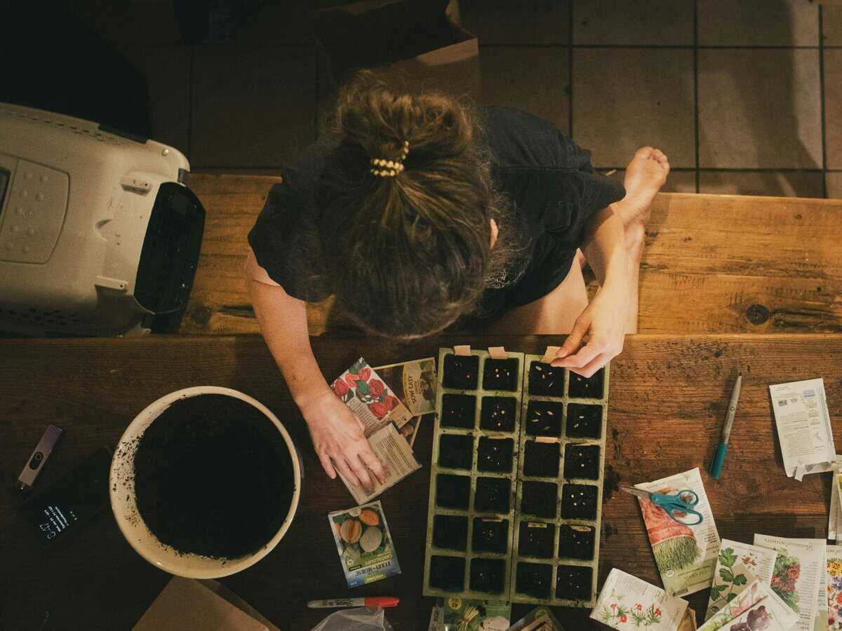 small seed starter kit for windowsill indoor gardening