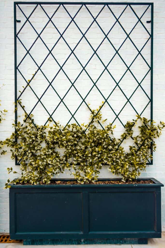 菜园基础材料包括种植箱爬架和路径