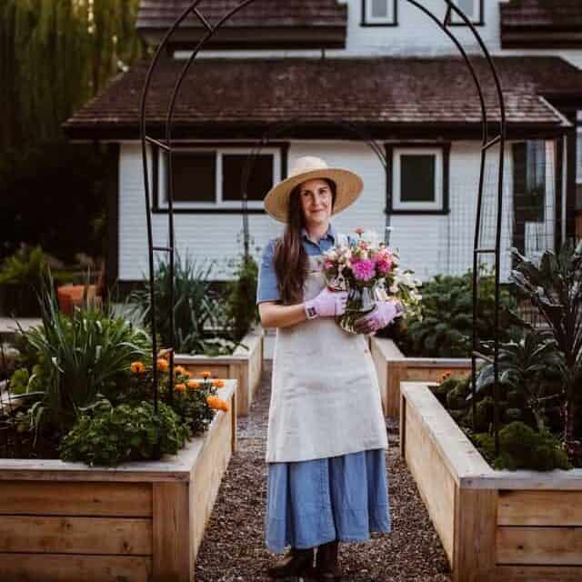 后院阳光充足适合种菜的位置示例