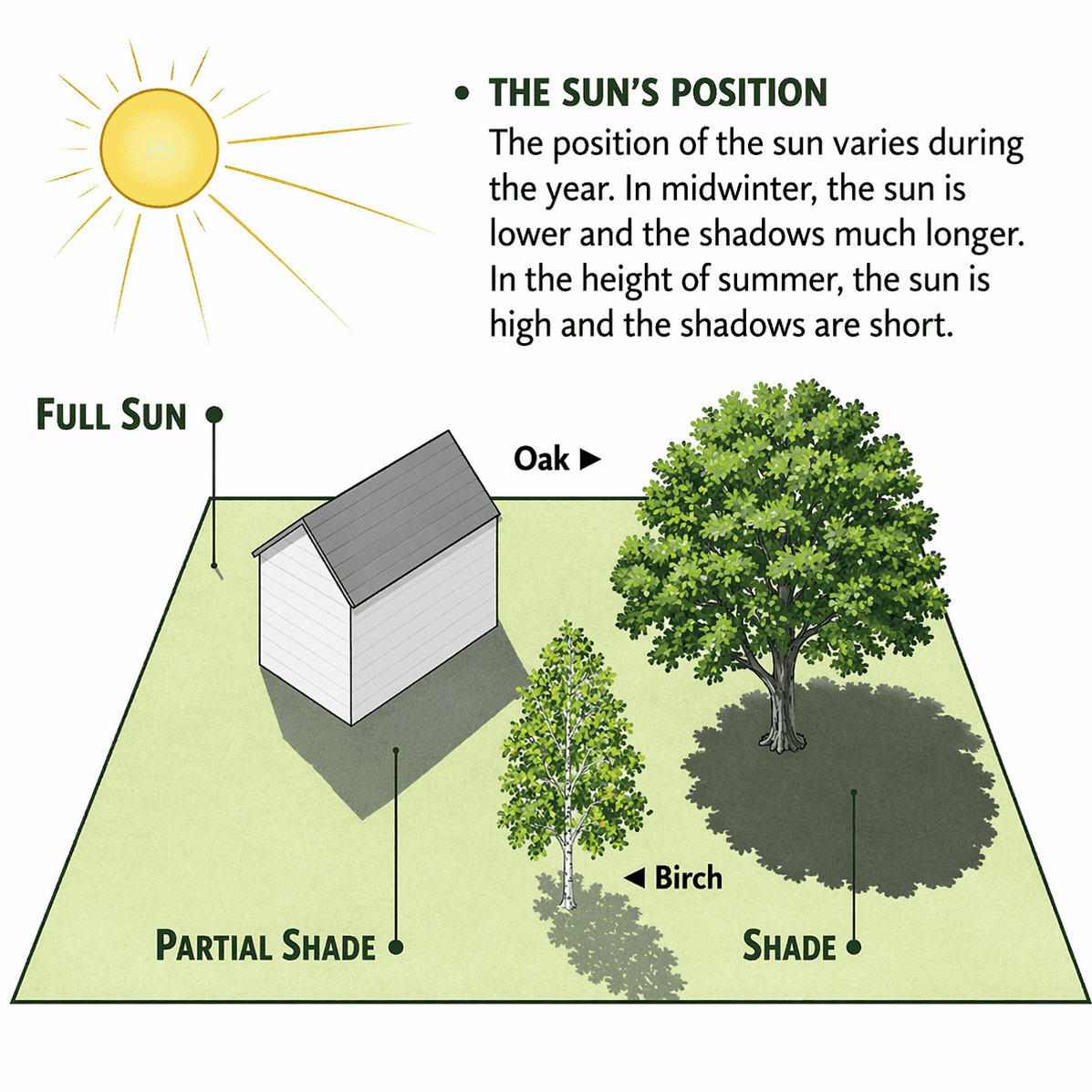 后院阳光充足适合种菜的位置示例