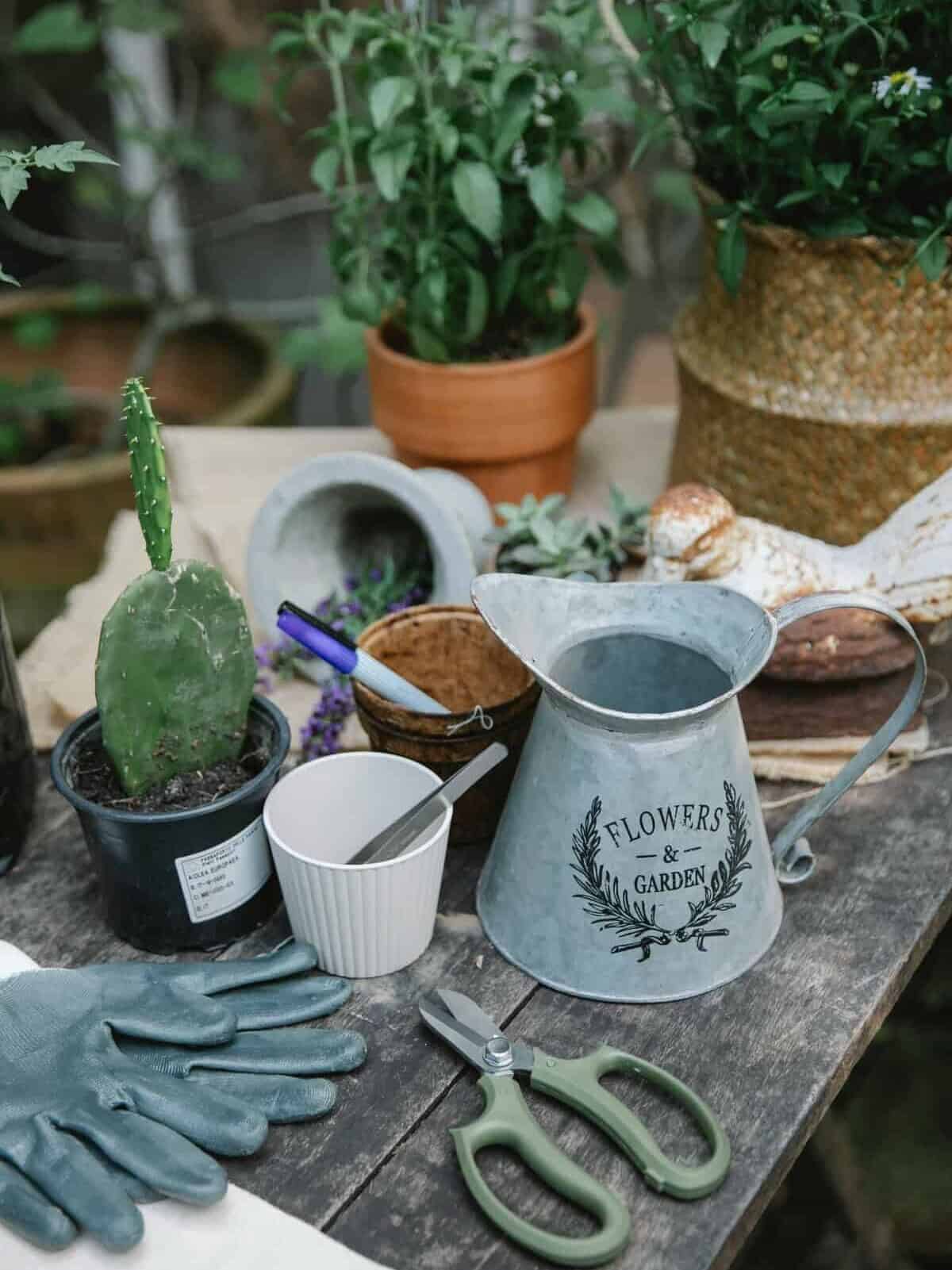 essential gardening tools set