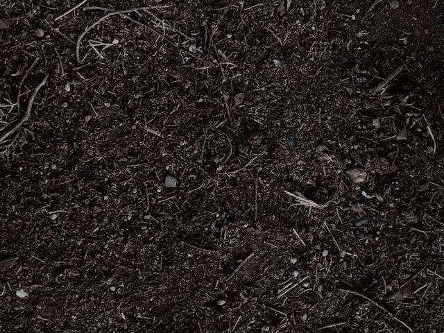 富含有机质松软透气的园艺土壤