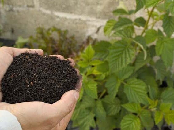 富含有机质松软透气的园艺土壤