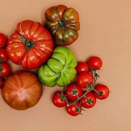 heirloom tomatoes colorful variety fresh garden harvest