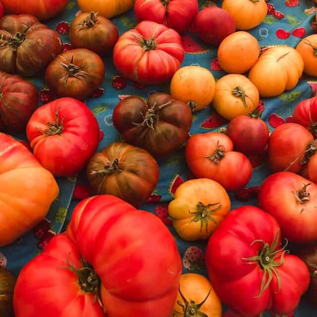 heirloom tomatoes colorful variety fresh garden harvest