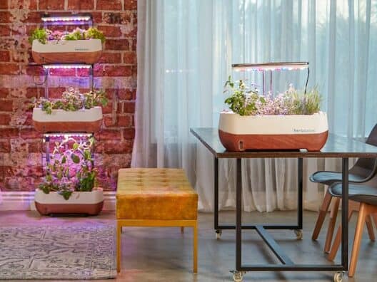 indoor seed starting setup with trays and grow light for beginners