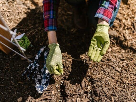  planting seeds correct depth finger soil demonstration