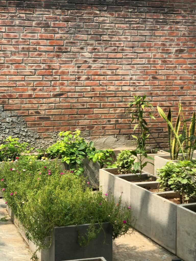 搭建菜园种植箱和结构的过程