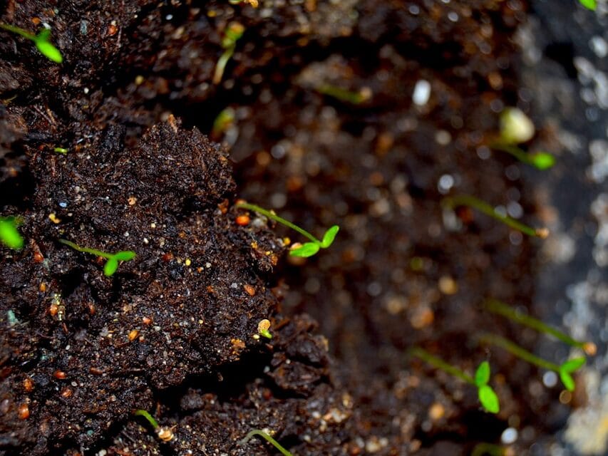 seed starting mix soil texture light and fluffy