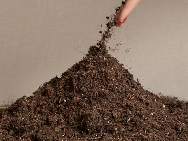 seed starting mix soil texture light and fluffy