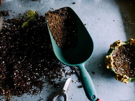 seed starting mix soil texture light and fluffy