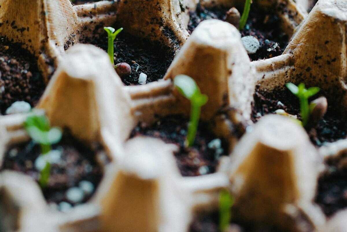 fine texture seed starting soil mix close up