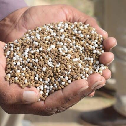 balanced fertilizer for tomatoes NPK label vegetable plant feeding