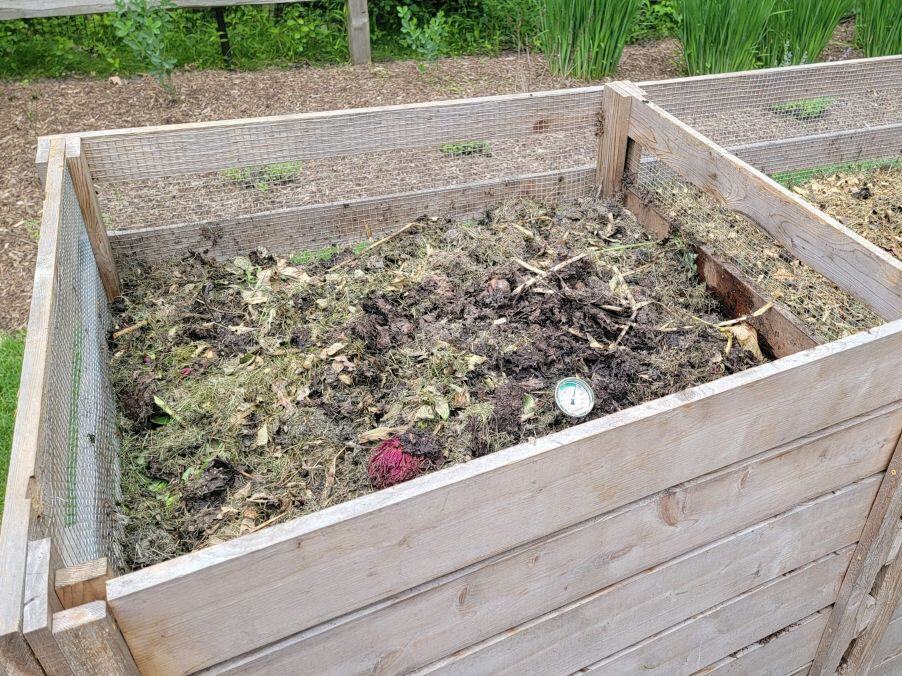 Fruit peels vegetable scraps and coffee grounds suitable for composting