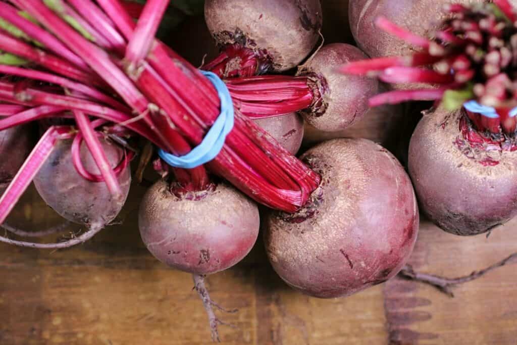 Red beet plants with healthy green leaves growing in a backyard garden